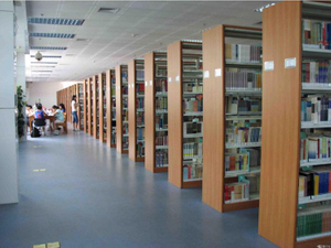 Pisos de PVC texturizados resistentes al desgaste para biblioteca
